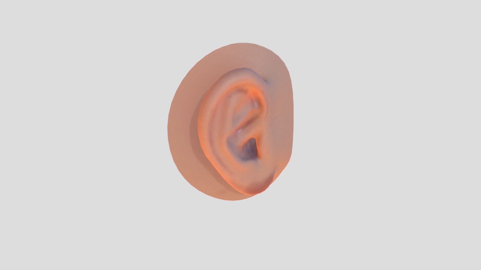 Human Ear