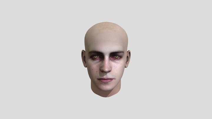 Anakin Hayden Sith Head Face 3D Model