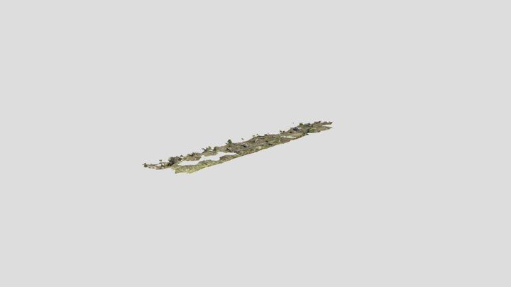 Untitled Scan 2 3D Model