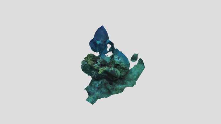 Dots Hotspot Pillar Coral 2 3D Model