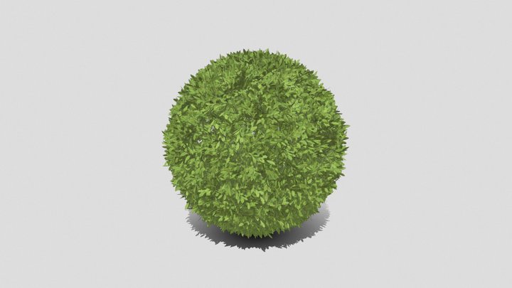 Hedge 3D Model