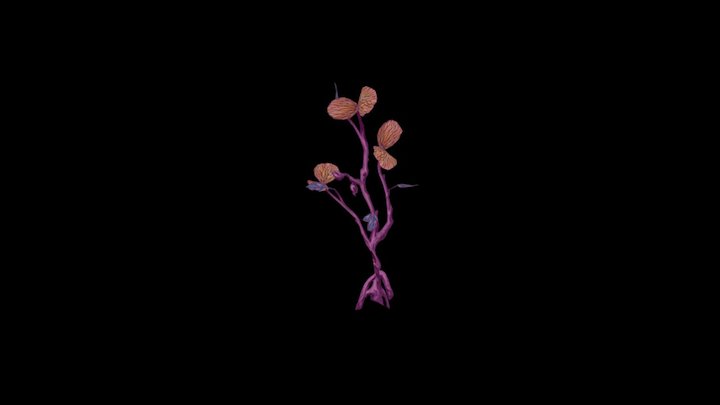 K'aresh - Moon Blossom (Do-Dad) 3D Model