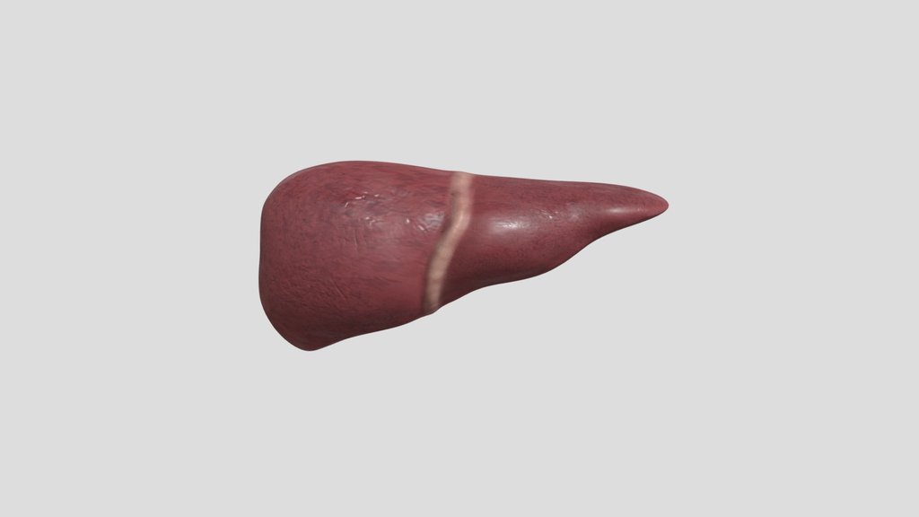 Exposed Liver