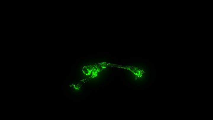 piracy 3D Model