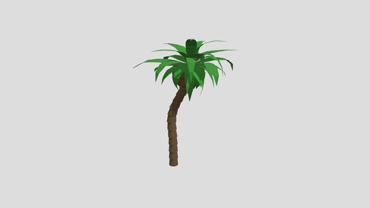 Palm Tree 3D Model