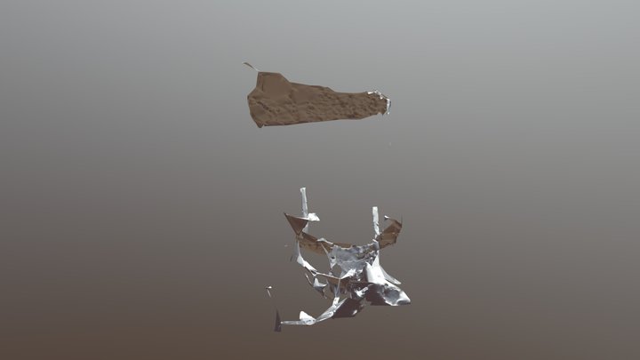 Prova 3D Model