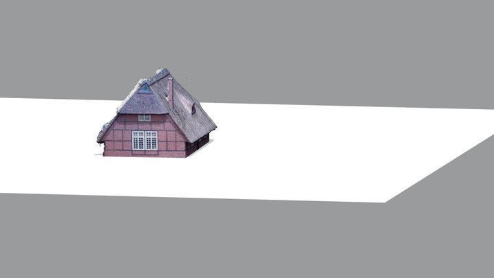 alteshausv2 3D Model