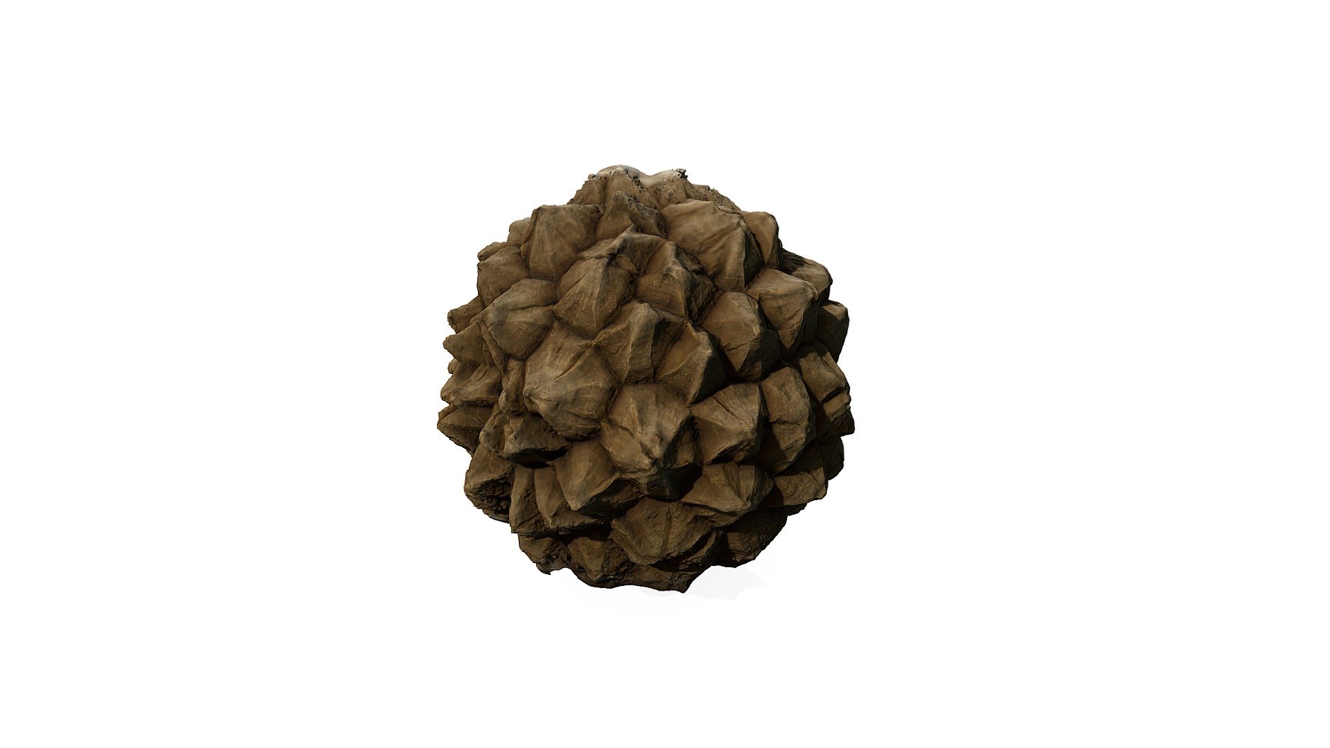 Palm Seed Test -