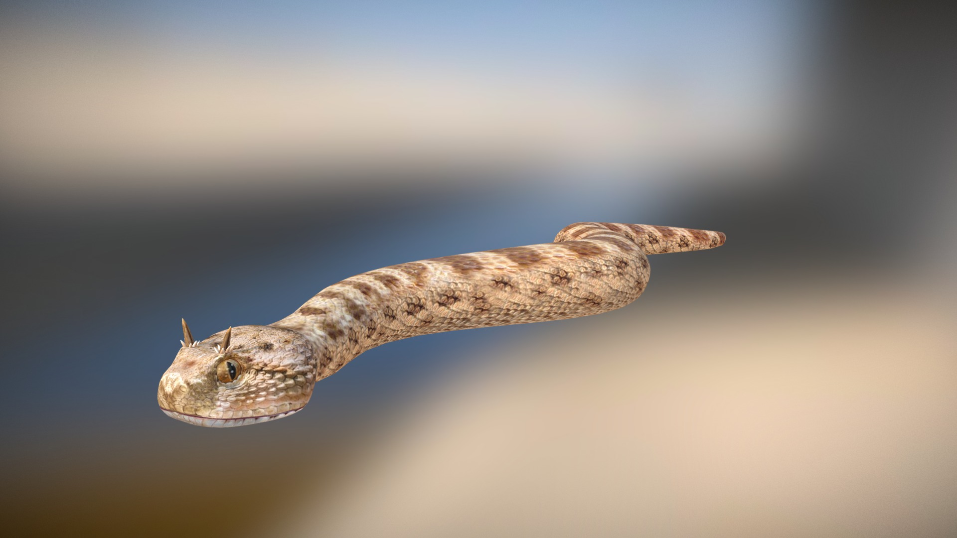 3D model Horned viper - This is a 3D model of the Horned viper. The 3D model is about a snake in the water.