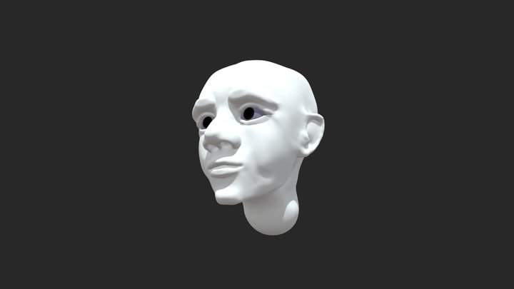 Head 020 3D Model