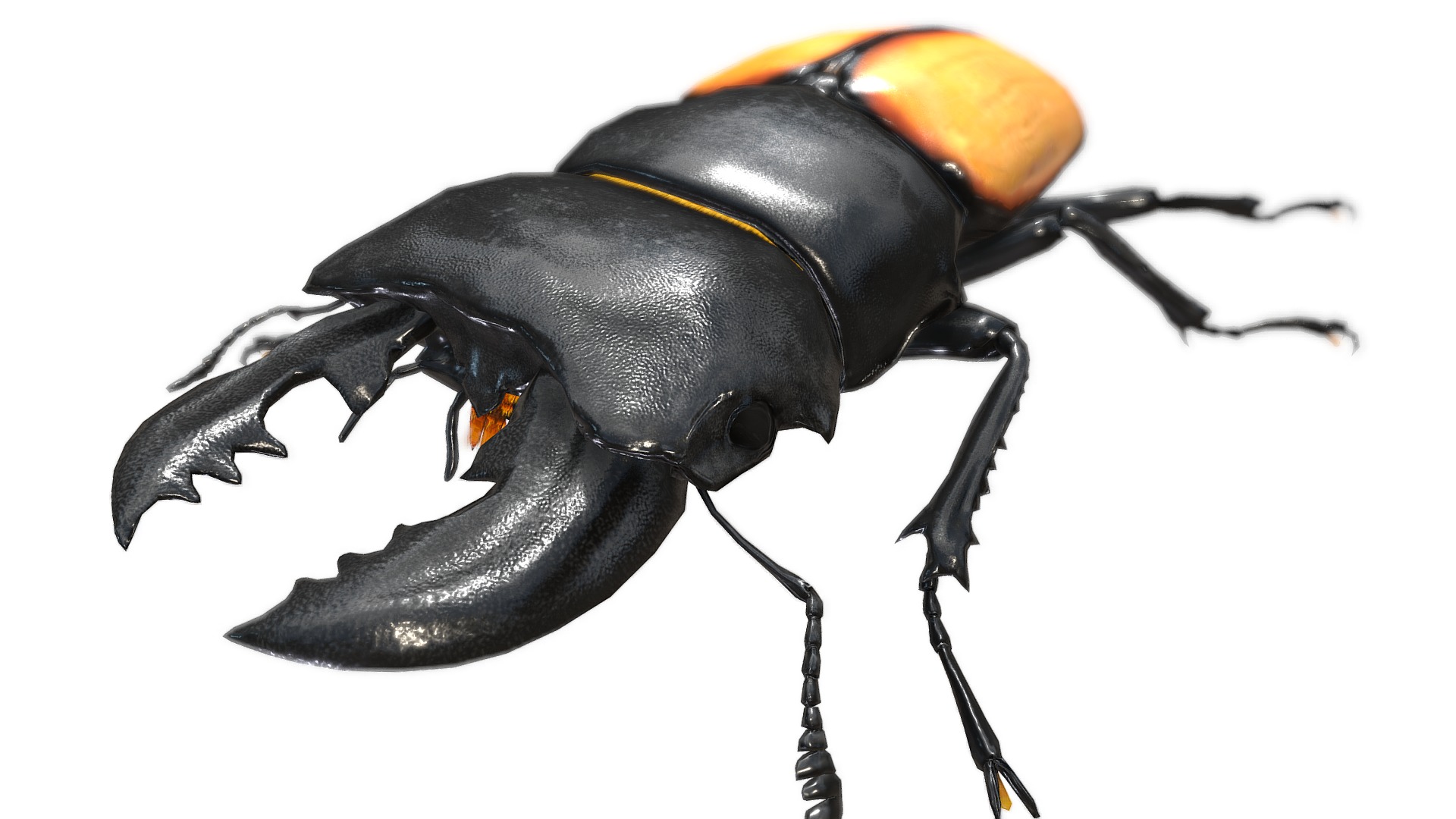 3D model Odontolabis castelnaudi - This is a 3D model of the Odontolabis castelnaudi. The 3D model is about a black and yellow beetle.