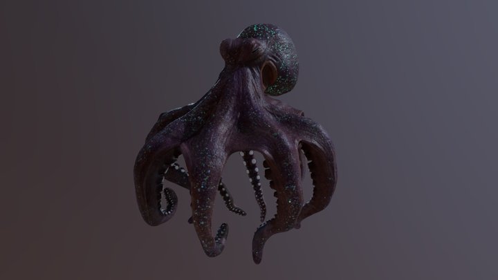 Squid 3D Model