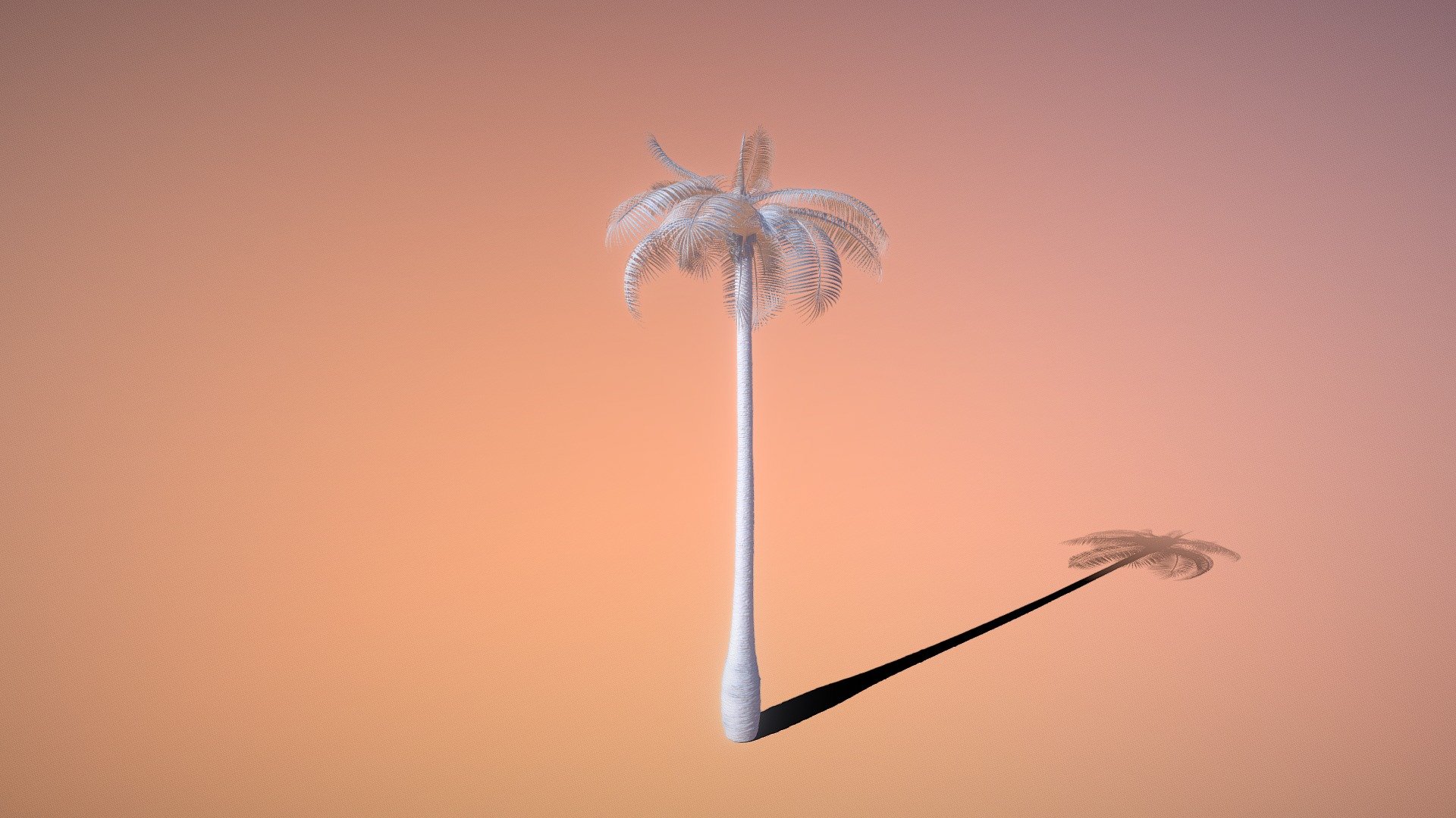 PALM