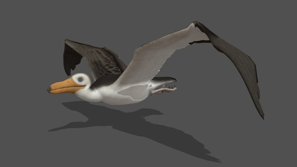 Animated Seagull – 3D Animal Model