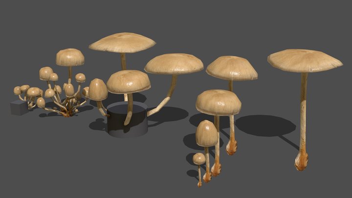 Mushroom_6 3D Model