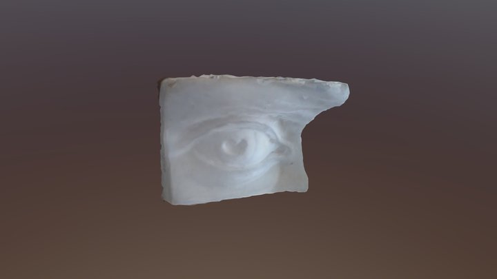 Scansf 3D Model