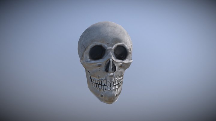 Skull Attempt 1 3D Model
