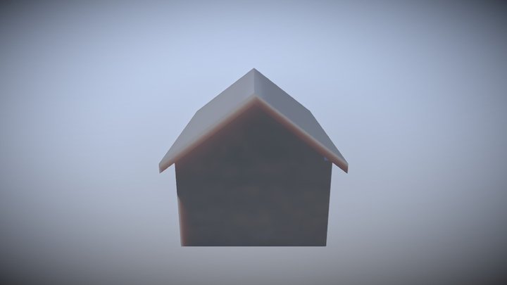Shed project House 3D Model
