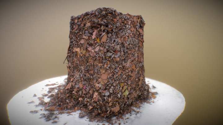 RAW 3D Photoscan - 3D Cube Leafs