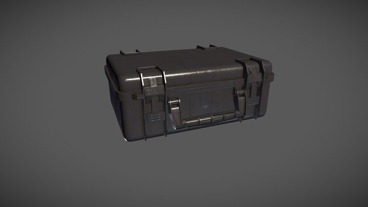 Pistol Case 3D Model