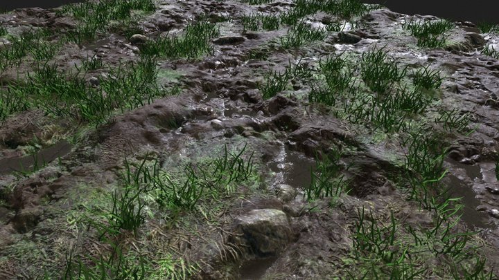 Grass mud and puddles terrain 23 Texture