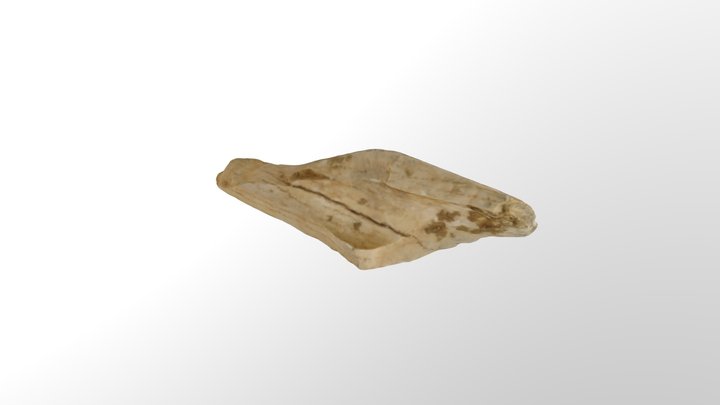 HUESO-LBK 3D Model