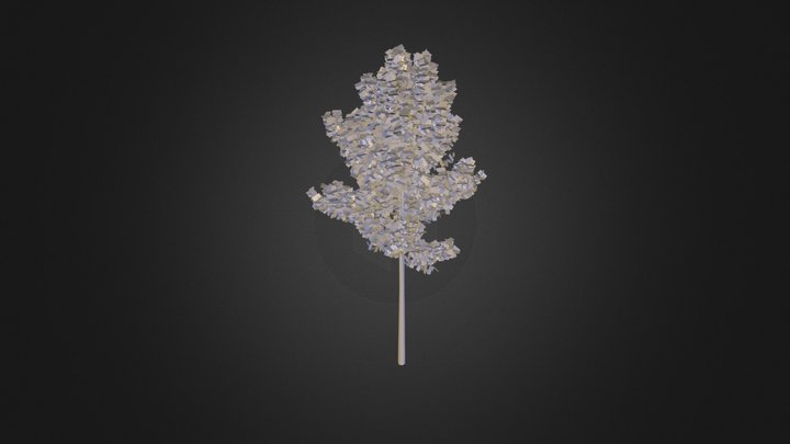 Tree by Chazz Hegna 3D Model