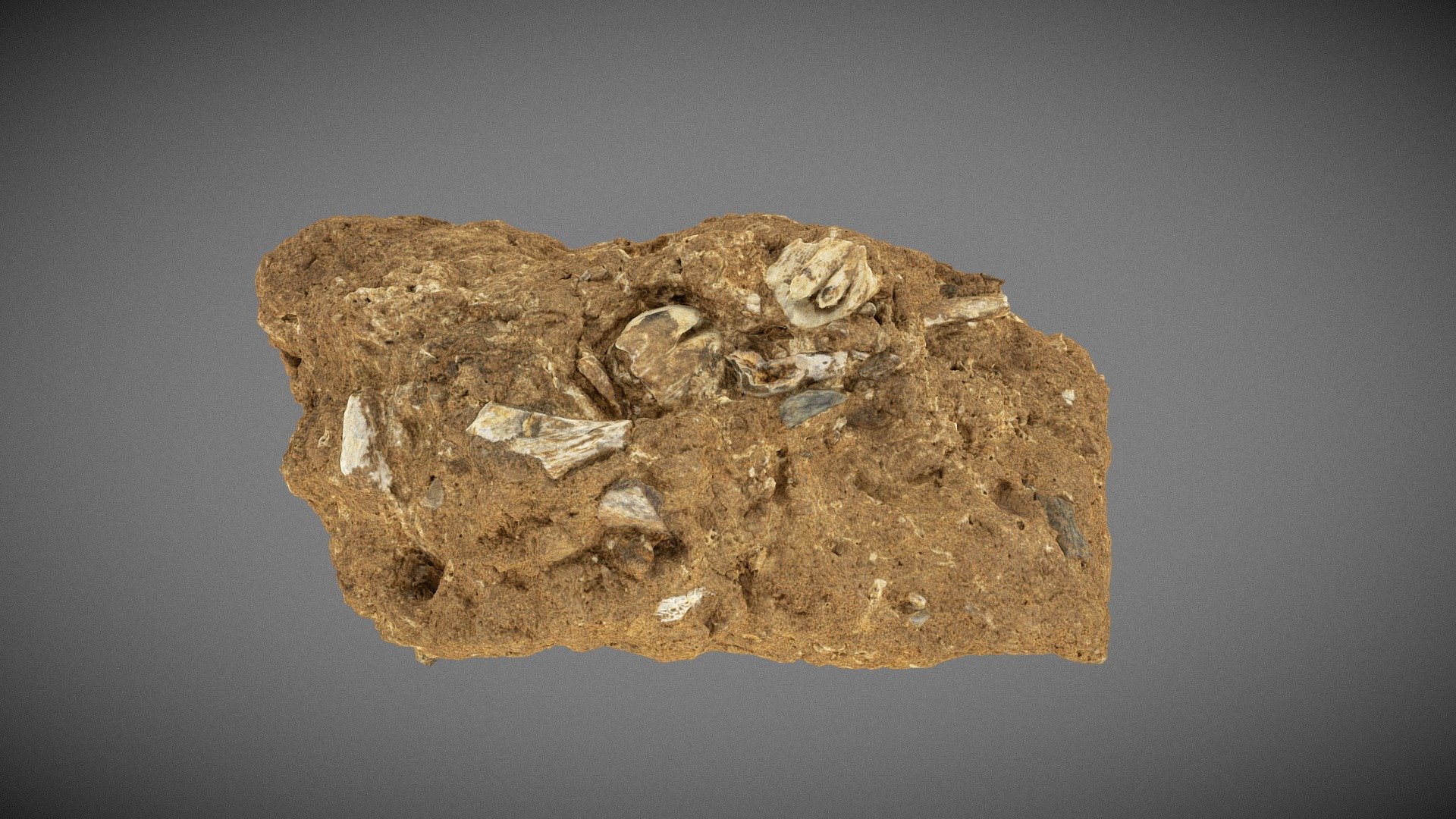 Hearth Soil Sample, 150,000-40,000 BCE