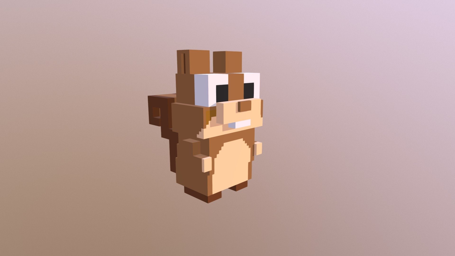 squirrel