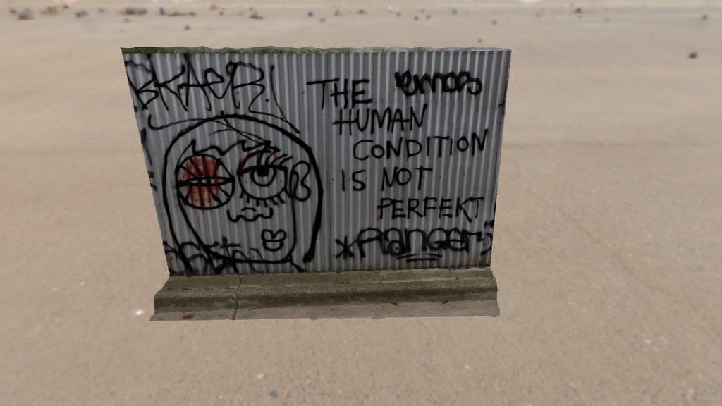 Human Condition