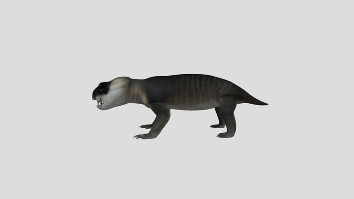 Diictodon Accurate Rigged 3D Model