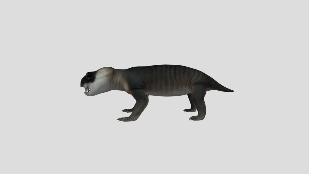 Diictodon Accurate Rigged