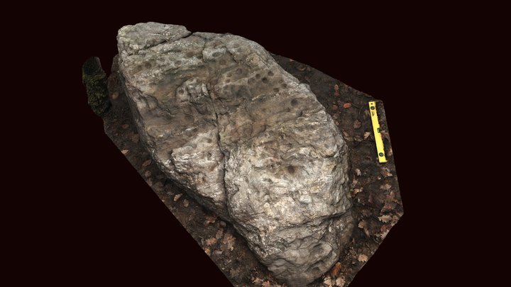 Pierre à cupules 3D Model