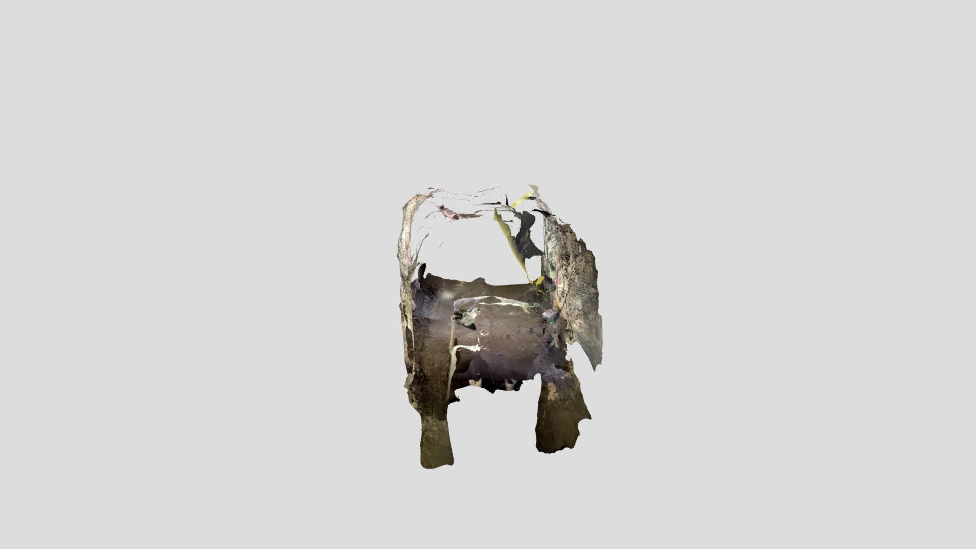 Polycam capture