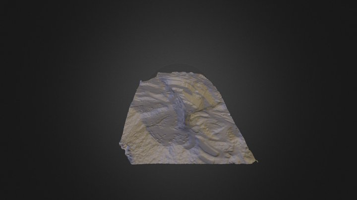 Cambrian_Faces3 3D Model