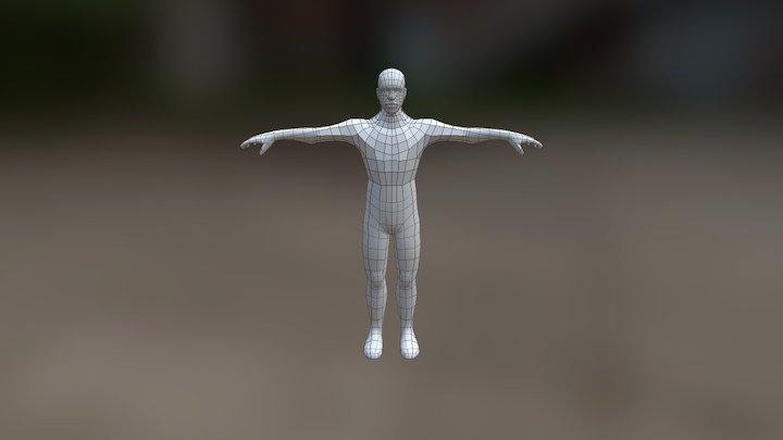 Mesh Correction 3D Model