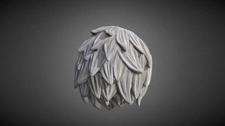 Pelt Final 3D Model