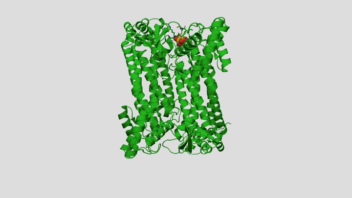 Fumarase+Malate 3D Model