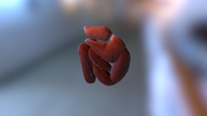Smoothie-3D upload 3D Model