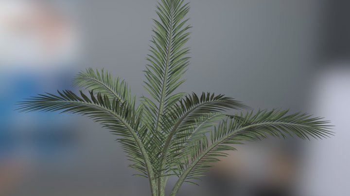 One simple plant call - "Amorosa" 3D Model