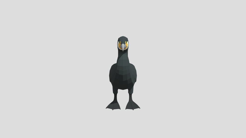 Low Poly Great Cormorant