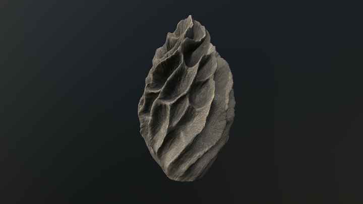 From series "ARISE" 3D Model