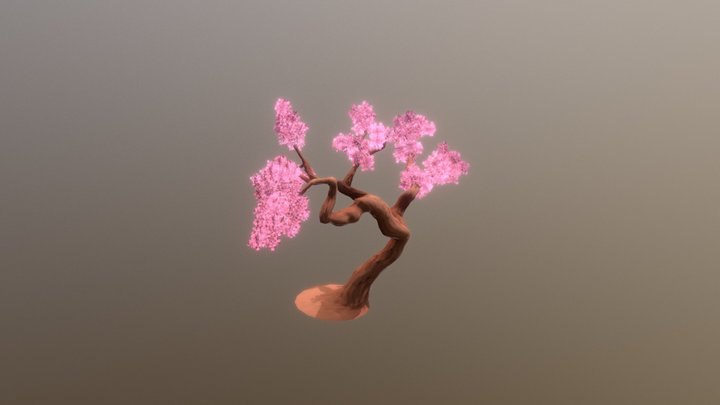 DETAG - Cherry Blossom Tree 3D Model