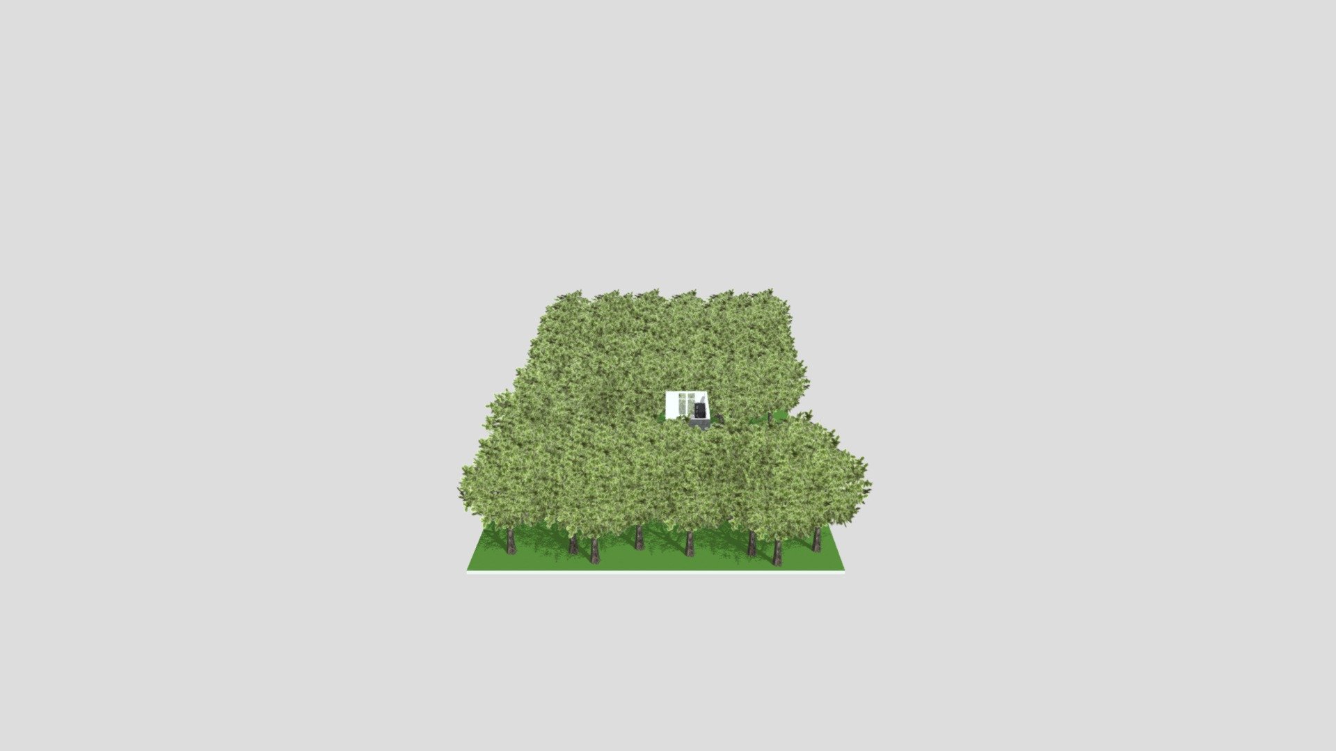 Tiny Home