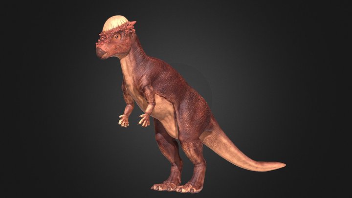 Pachy WIP 5 3D Model