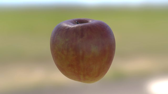 Apple Photogrammetry 3D Model