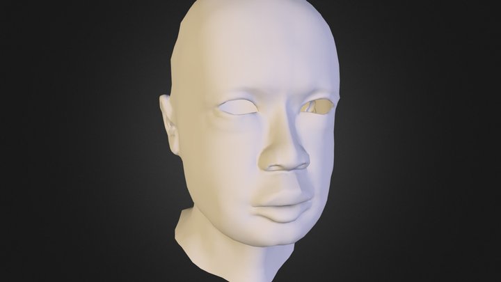 headGeo_02 3D Model