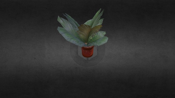 palmfarn 3D Model