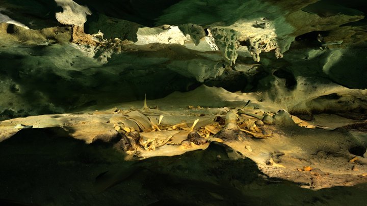 Sipadan Turtle Tomb - Right Wall - Small Cavity 3D Model