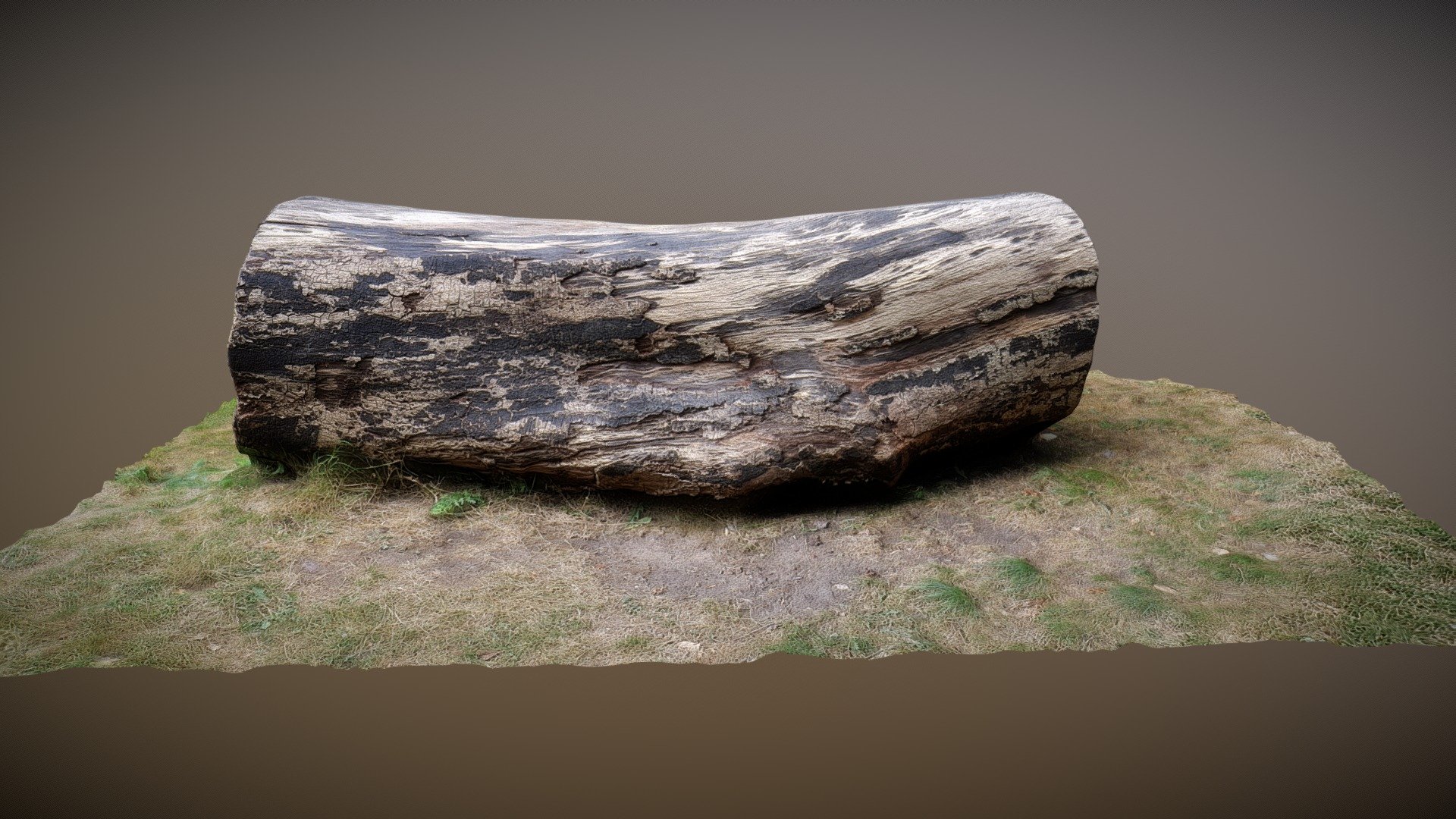Tree - Seat
